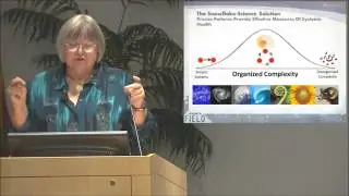 How the Study of Form, Function and Flow Can Inform Development Practice