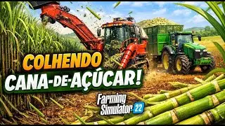 COLHENDO CANA DE AÇUCA NO MAPA FAZENDA MADUREIRA   NO FS22 #fs22
