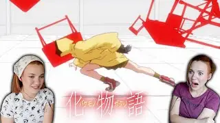 Suruga Monkey Arc Reaction