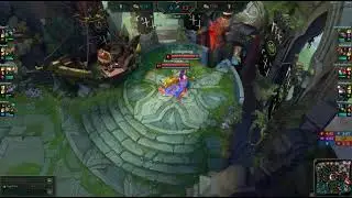 Nidalee Stomp