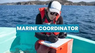 What is the role of a Marine Coordinator ? | Career Guide - Job Description - Skills