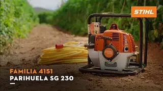 Parihuela SG 230 | Familia 4151 | STIHL M&Eacute;XICO