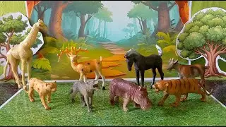 Giraffe Tiger Lion Deer Goat Hipopotamus Wolf Horse | ASMR Animal Toys Diorama