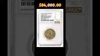 The $84,000 Mule Coin!#coin #collection #money #history #currency #treasurehunt #coincollecting