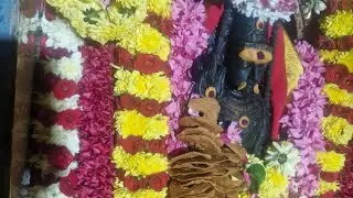 Ashtami special bairavar poojai #Lakshmi kuberar temple #gowrivakkam #chennai 