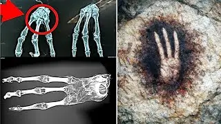 Scientist Forced To Admit The Truth About Those Nazca Mummies 