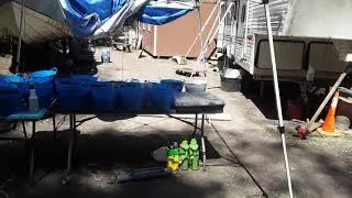 Nubsfarms legal marijuana grow Washington state! ep. 6