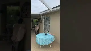 9524 Rolling Circle, San Antonio, FL 33576