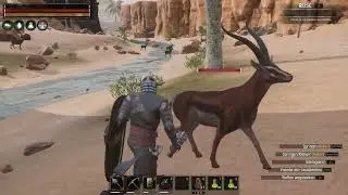 Conan exiles Abenteuerreise durch die Biome