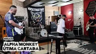 ALPHA MONKEY - A ÚLTIMA CARTADA I ROCK NACIONAL