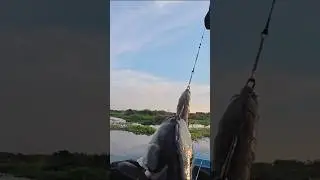 #Fishing