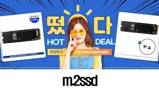 가성비 M.2 SSD 추천! 마이크론 P310, WD SN350, 삼성 990 EVO 비교 리뷰