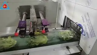 vegetable packaging machine#packagingmachine #packaging #machine 
