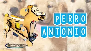 Perro Antonio