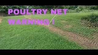Sad Unexpected Side Effect Of Poultry Net Electric Fence For Chickens