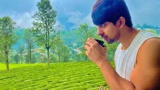 Sun Valley Home Stay - Coonoor, Ooty Tamil Nadu // Luxury penthouse, Tea Estate..