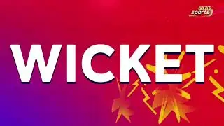 5 Wickets Naseem Shah | Naseem Shah Top Wickets | Pak vs Aus | Cricket Match Highlights 