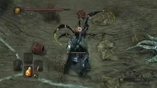 Dark Souls 2 Naavlan has a bad day