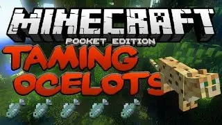 HOW TO TAME OCELOTS IN Minecraft PE - MCPE Taming Cats (Pocket Edition)