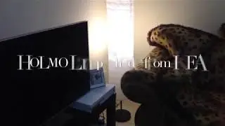 IKEA HOLMO Lamp Shade | How to | Mother of Skye