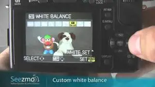 Panasonic GF1: White Balance Guide