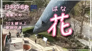 童謡「花」#ウズベク語 #マサイ語 他 #外語字幕訳歌詞30言語以上 訳 【字幕で各国「愛してる」】（日本古謡）滝廉太郎