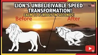 Lion top speed in Km/h: A Must Watch 🦁⚡