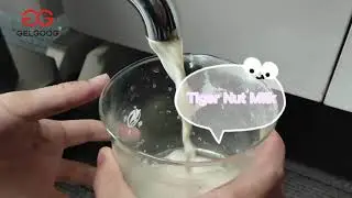 Tiger Nut Milk Making Machine|Tiger Nut Milk Processing Machine From Cara@machinehall.com