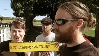 Mockingbird Sanctuary The Vegan Zombie