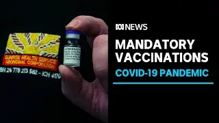 NT employers with remote staff may have strong case for mandating COVID vaccines | ABC News