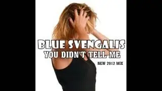 Blue Svengalis - You Didn't Tell Me [2012 Mix]