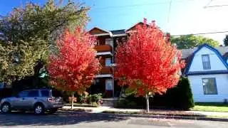 Contemporary Condo | North Portland condos for sale and real estate