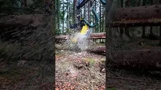John Deere 1270G: Advanced Wood Handling and Forestry Solutions
