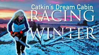 Catkin's Dream Cabin Build Part 6