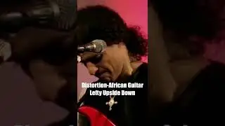 Distortion African guitar Upside Down played by Djamel Laroussi #shorts