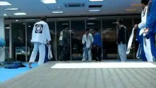 Ryan Gracie Team