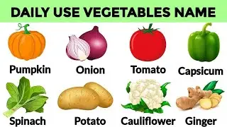 List of vegetables name /30 vegetables name english & hindi /chiku study class/16 December 2025 🥬🥕🫑🍅