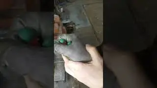 95х18 гибкость#knifeskills #shorts