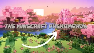 The Minecraft phenomenon