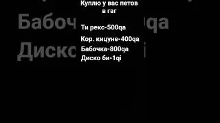 куплю петов#gag#growagarden#pets#shecles