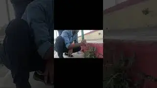 Railway Apprentice / JAMALPUR WORKSHOP/#ytshorts