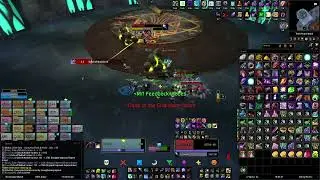 Turtle WoW - Sons of Mukla (Tel'Abim) Echo of Medivh kill
