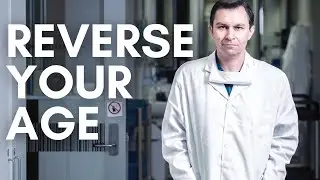 Professor David Sinclair Explains Why Being UNCOMFORTABLE Will Make You Live Longer