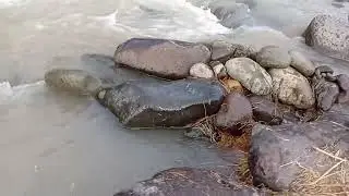 Proses pemasangan perangkap udang... #perangkapudang #sungai #sumedangupdate #bolang #pedesaan #fyp