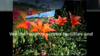 Senior Assistance Referrals Phoenix - Elite Senior Care