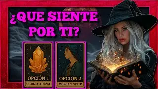 Tarot interactivo: &iquest;Qu&eacute; siente por ti? 💖 Opci&oacute;n 1 (Cuarzo Citrino) y Opci&oacute;n 2 (Morgan Greer)