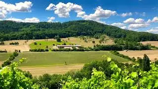 Weinwandern bei Sachsenheim Hohenhaslach