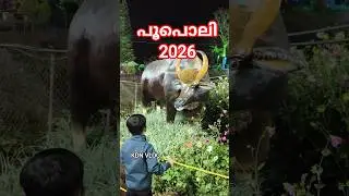 പൂപൊലി 2026 #പൂപൊലി #wayanad