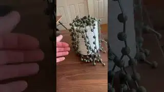 3D printed Plants? #3dprinting