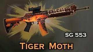 Tiger Moth SG 553 StatTrak stickers skin preview FN/MW/FT/WW/BS